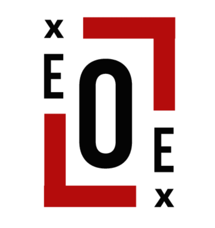 Lex In Focus