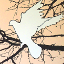 Liberate