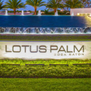 Lotus Palm