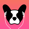 LillyPlayer