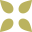 Limeflower