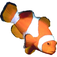 LinangData