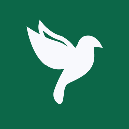 Lintu