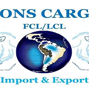 Lions Cargo Group