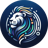 Lions Dream Technologies