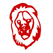 Lion Solution