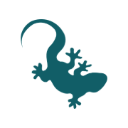 Lizard