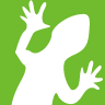LizardSystems
