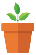 LizPlants
