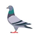 LoftMate