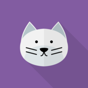 Lost Cat
