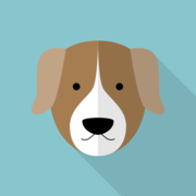 Lost Dog