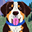 Alabama Pet Registry