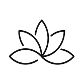 Lotus Health AI