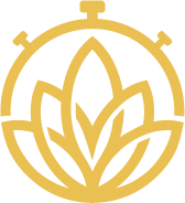 Lotus AI