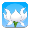 Lotus Bud