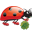 Luckybug
