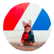 LuggageHero