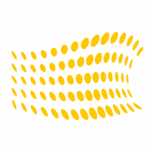 Lumen Accounting
