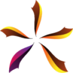 Luminous Consultancy