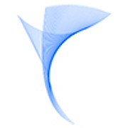 LYNEports