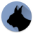 Lynx Launcher