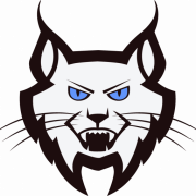 LYNX SR