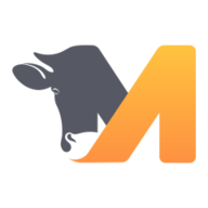 M-complex