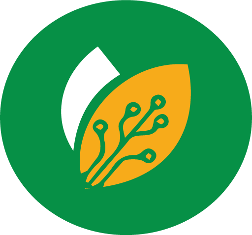 M-Shamba