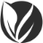 DZSecurity