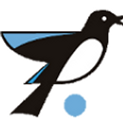 Magpie Systems