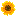 Mannton