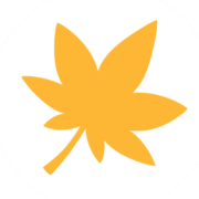 MapleFun113