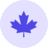 Maple Software