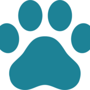 Maple Springs Veterinary Hospital