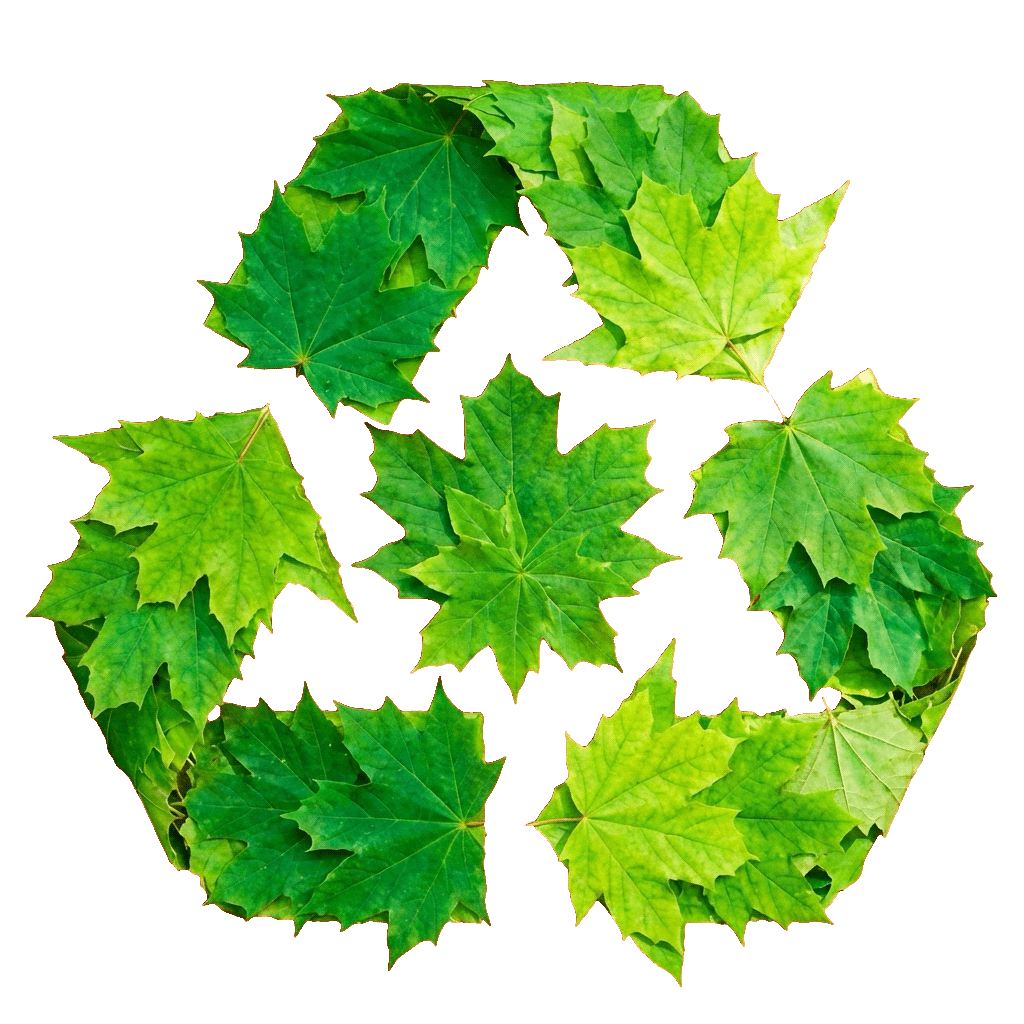 Maplewood Recycling