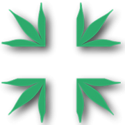 Marijuana Patient Card