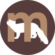 Marten