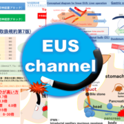 EUS channel