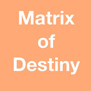 Matrix Destiny