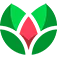 MAXsi