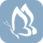 MB Fitness