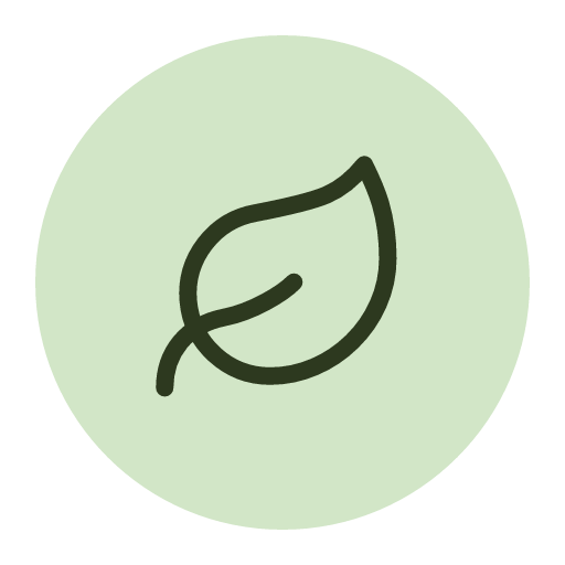 MealScan AI