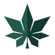 MedicalCardOnline