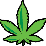 Medical Marijuana Card San Diego