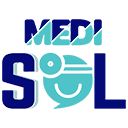 Medisol
