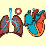 InterActive Medical Terminology