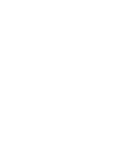 Echo AI