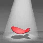 AgentiFijsh