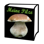 Meine Pilze